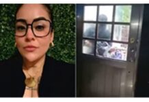 Search Continues for Missing Veracruz Journalist Roxana Guzmán